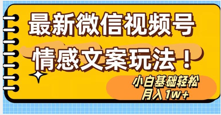 微信视频号情感文案最新玩法，小白轻松月入1万+无脑搬运【揭秘】-赚金金-技能学习分享