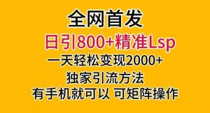 全网首发!日引800+精准老色批,一天变现2000+,独家引流方法,可矩阵操作【揭秘】-赚金金-技能学习分享