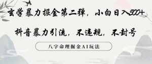 玄学暴力掘金第二弹,小白日入500+,抖音暴力引流,不违规,术封号,八字命理掘金AI玩法【揭秘】-赚金金-技能学习分享
