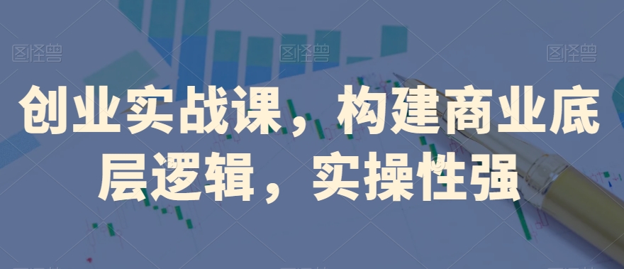 创业实战课，​构建商业底层逻辑，实操性强-赚金金-技能学习分享
