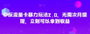 秒反流量卡暴力玩法2.0,无需次月提现,立刻可以拿到收益【揭秘】-赚金金-技能学习分享