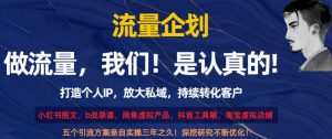 流量企划,打造个人IP,放大私域,持续转化客户【揭秘】-赚金金-技能学习分享