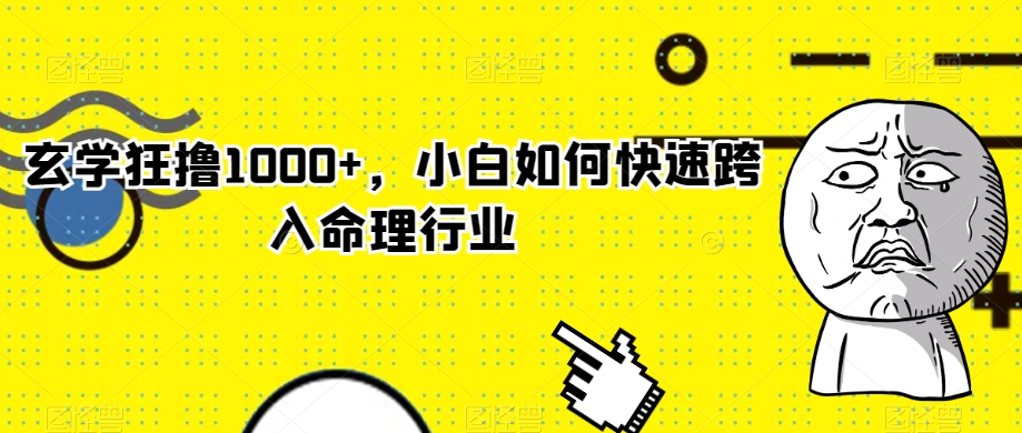 玄学狂撸1000+,小白如何快速跨入命理行业【揭秘】-赚金金-技能学习分享