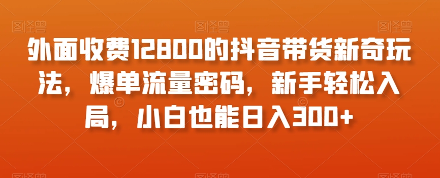 外面收费12800的抖音带货新奇玩法，爆单流量密码，新手轻松入局，小白也能日入300+【揭秘】-赚金金-技能学习分享