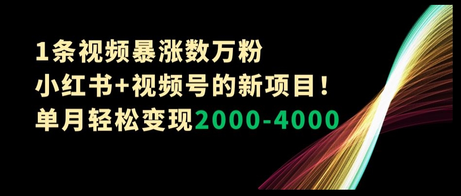 1条视频暴涨数万粉–小红书+视频号的新项目!单月轻松变现2000-4000【揭秘】-赚金金-技能学习分享