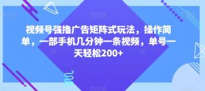 视频号强撸广告矩阵式玩法,操作简单,一部手机几分钟一条视频,单号一天轻松200+【揭秘】-赚金金-技能学习分享