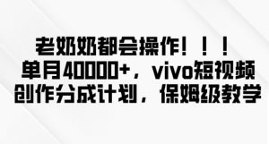 老奶奶都会操作,新平台无脑操作,单月40000+,vivo短视频创作分成计划【揭秘】-赚金金-技能学习分享