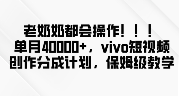 老奶奶都会操作，新平台无脑操作，单月40000+，vivo短视频创作分成计划【揭秘】-赚金金-技能学习分享