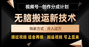 视频号无脑搬运新技术,破原创壕流量,独家方式,爆过视频,还会再爆【揭秘】-赚金金-技能学习分享