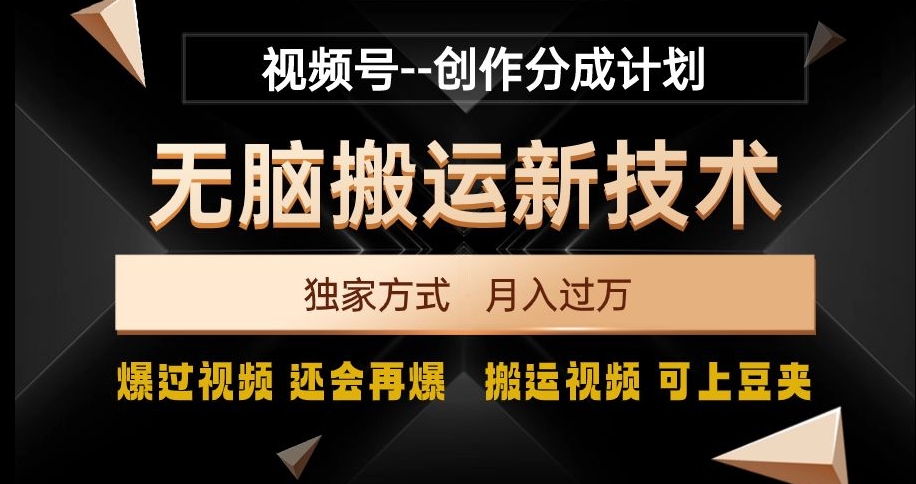 视频号无脑搬运新技术，破原创壕流量，独家方式，爆过视频，还会再爆【揭秘】-赚金金-技能学习分享
