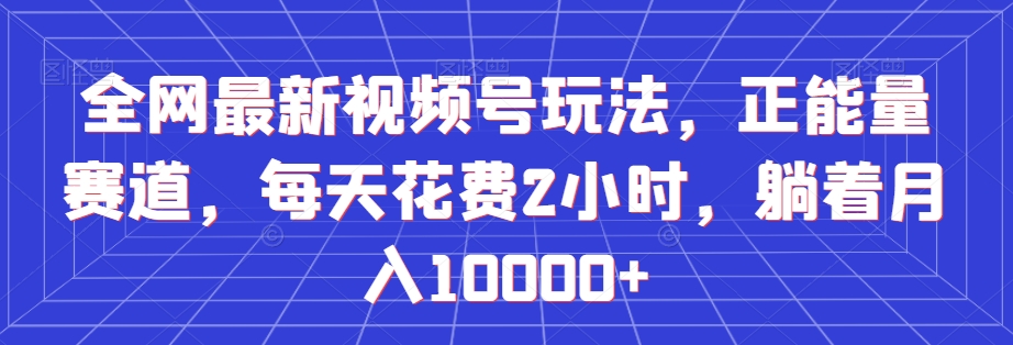 全网最新视频号玩法，正能量赛道，每天花费2小时，躺着月入10000+【揭秘】-赚金金-技能学习分享