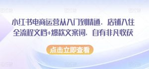 小红书电商运营从入门到精通,店铺入住全流程文档+爆款文案词,自有非凡收获-赚金金-技能学习分享