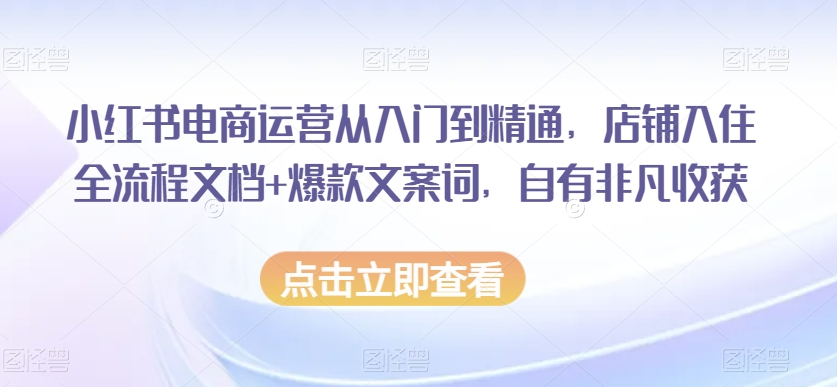 小红书电商运营从入门到精通，店铺入住全流程文档+爆款文案词，自有非凡收获-赚金金-技能学习分享