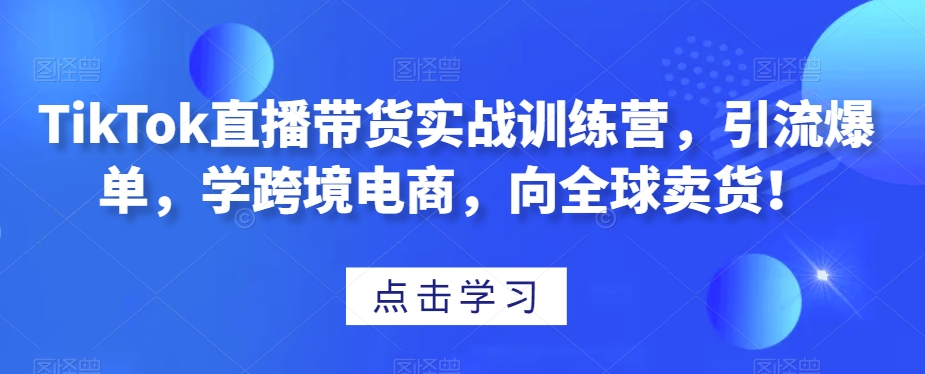 TikTok直播带货实战训练营，引流爆单，学跨境电商，向全球卖货！-赚金金-技能学习分享