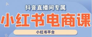 小红书电商高级运营课程,实操教学+案例分析-赚金金-技能学习分享