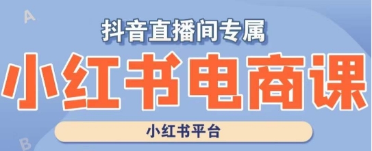 小红书电商高级运营课程，实操教学+案例分析-赚金金-技能学习分享