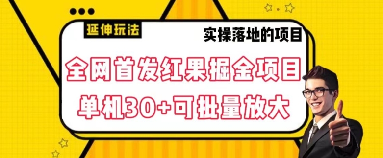 全网首发红果免费短剧掘金项目，单机30+可批量放大【揭秘】-赚金金-技能学习分享