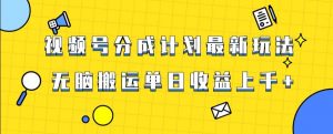 视频号最新爆火赛道玩法，只需无脑搬运，轻松过原创，单日收益上千【揭秘】-赚金金-技能学习分享
