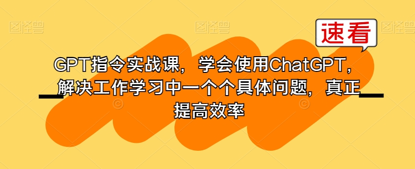 GPT指令实战课，学会使用ChatGPT，解决工作学习中一个个具体问题，真正提高效率-赚金金-技能学习分享