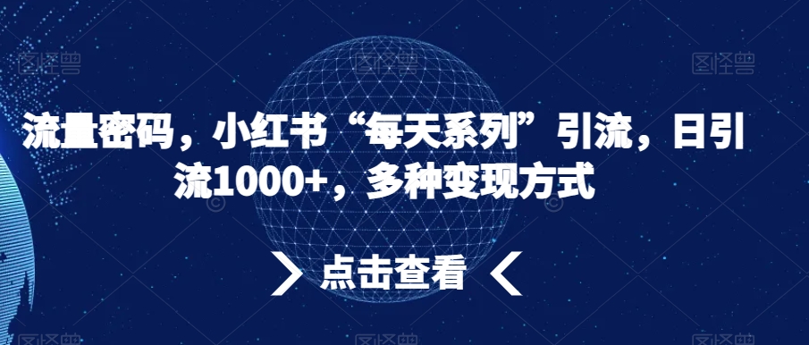 流量密码，小红书“每天系列”引流，日引流1000+，多种变现方式【揭秘】-赚金金-技能学习分享
