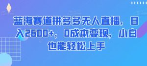 蓝海赛道拼多多无人直播,日入2600+,0成本变现,小白也能轻松上手【揭秘】-赚金金-技能学习分享