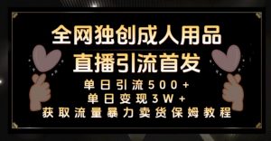 全网独创真人主播+无人直播单日引流500+,橙人用品暴力卖货单日变现3W+保姆似教学2.0【揭秘】-赚金金-技能学习分享