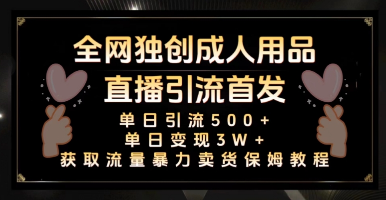 全网独创真人主播+无人直播单日引流500+，橙人用品暴力卖货单日变现3W+保姆似教学2.0【揭秘】-赚金金-技能学习分享