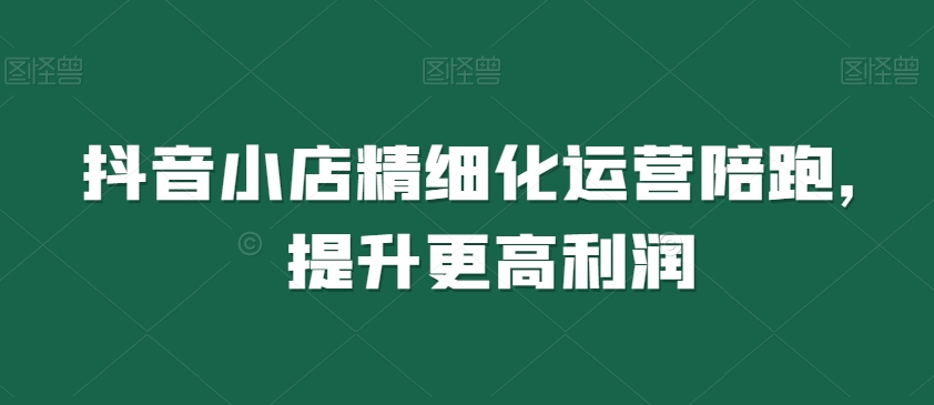 抖音小店精细化运营陪跑，提升更高利润-赚金金-技能学习分享
