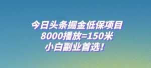 今日头条掘金低保项目，8000播放=150米，小白副业首选【揭秘】-赚金金-技能学习分享