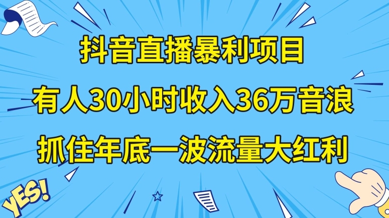 抖音直播暴利项目，有人30小时收入36万音浪，公司宣传片年会视频制作，抓住年底一波流量大红利【揭秘】-赚金金-技能学习分享