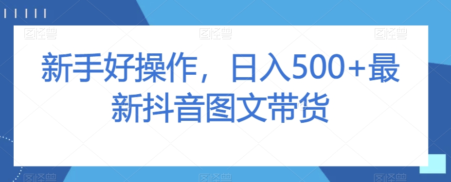 新手好操作，日入500+最新抖音图文带货【揭秘】-赚金金-技能学习分享