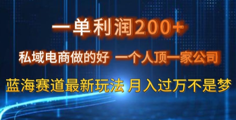 一单利润200私域电商做的好，一个人顶一家公司蓝海赛道最新玩法【揭秘】-赚金金-技能学习分享