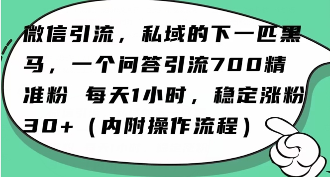 怎么搞精准创业粉?微信新赛道,每天一小时,利用Ai一个问答日引100精准粉-赚金金-技能学习分享