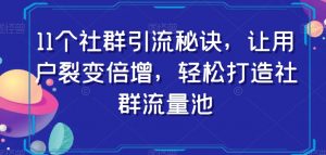 11个社群引流秘诀,让用户裂变倍增,轻松打造社群流量池-赚金金-技能学习分享
