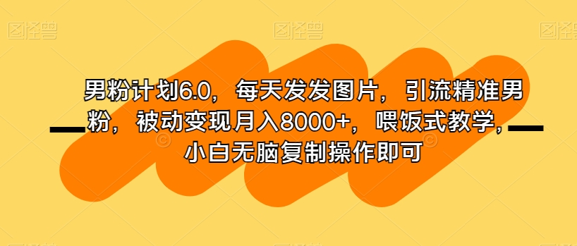 男粉计划6.0，每天发发图片，引流精准男粉，被动变现月入8000+，喂饭式教学，小白无脑复制操作即可-赚金金-技能学习分享