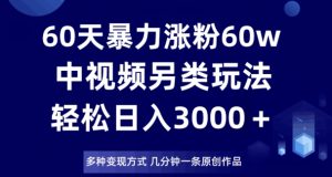 60天暴力涨粉60W，中视频另类玩法，日入3000＋，几分钟一条原创作品多种变现方式-赚金金-技能学习分享