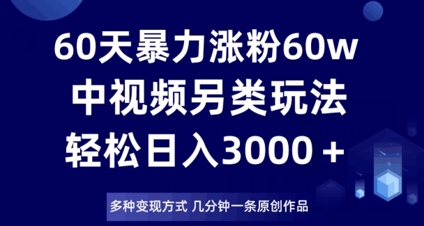 60天暴力涨粉60W，中视频另类玩法，日入3000＋，几分钟一条原创作品多种变现方式-赚金金-技能学习分享