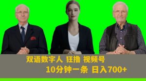 Ai生成双语数字人狂撸视频号，日入700+内附251G素材【揭秘】-赚金金-技能学习分享