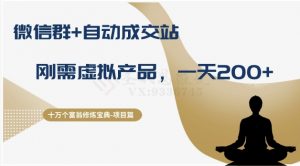 十万个富翁修炼宝典之8.微信群+自动成交站,刚需虚拟产品,一天200+-赚金金-技能学习分享