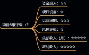 十万个富翁修炼宝典之4.一个大学生操作这个项目,一个月能搞一万-赚金金-技能学习分享