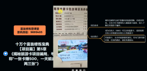 十万个富翁修炼宝典之5.揭秘旅游卡项目骗局，号称“一张卡赚500，一天能卖两三张”-赚金金-技能学习分享