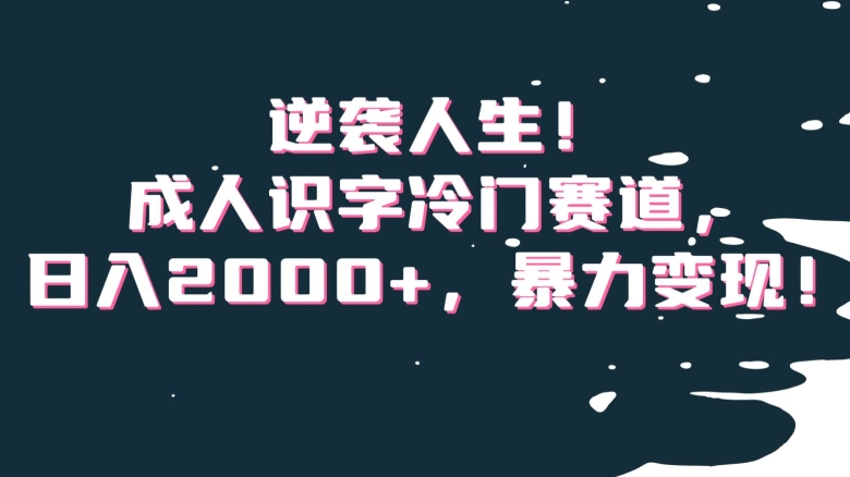 逆袭人生!成人识字冷门赛道,日入2000+,暴力变现!【揭秘】-赚金金-技能学习分享