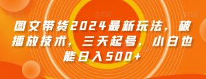 图文带货2024最新玩法，破播放技术，三天起号，小白也能日入500+【揭秘】-赚金金-技能学习分享