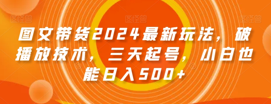 图文带货2024最新玩法，破播放技术，三天起号，小白也能日入500+【揭秘】-赚金金-技能学习分享