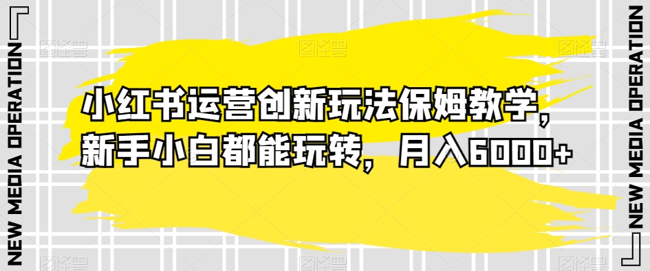 小红书运营创新玩法保姆教学，新手小白都能玩转，月入6000+【揭秘】-赚金金-技能学习分享