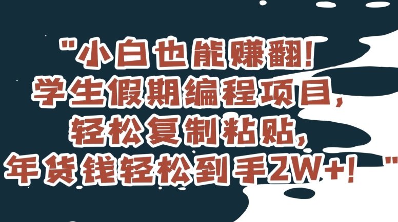 小白也能赚翻！学生假期编程项目，轻松复制粘贴，年货钱轻松到手2W+【揭秘】-赚金金-技能学习分享