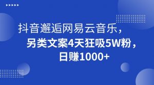 抖音邂逅网易云音乐，另类文案4天狂吸5W粉，日赚1000+【揭秘】-赚金金-技能学习分享