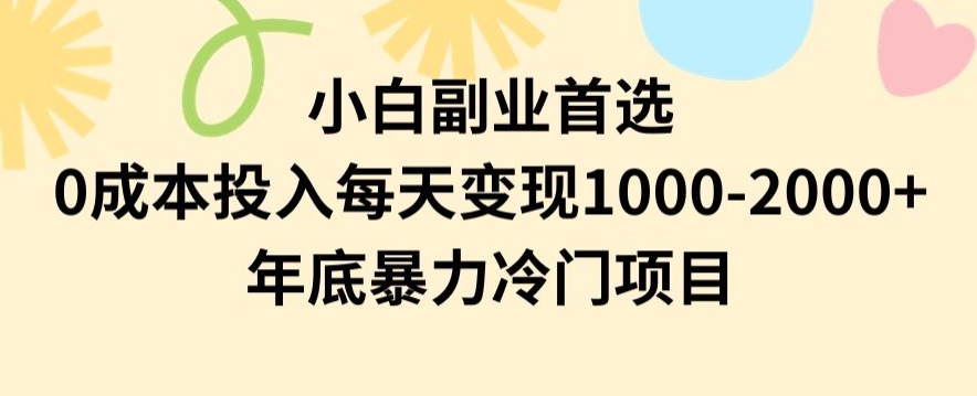 小白副业首选，0成本投入，每天变现1000-2000年底暴力冷门项目【揭秘】-赚金金-技能学习分享