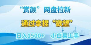 “赏颜”网盘拉新赛道,通过拿捏“欲望”日入1500+,小白易上手【揭秘】-赚金金-技能学习分享