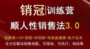 爆款!销冠训练营3.0之顺人性销售法,全方位解决销售难题、可落地、可执行、有结果-赚金金-技能学习分享